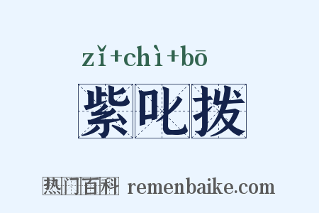 紫叱拨是什么意思的图片